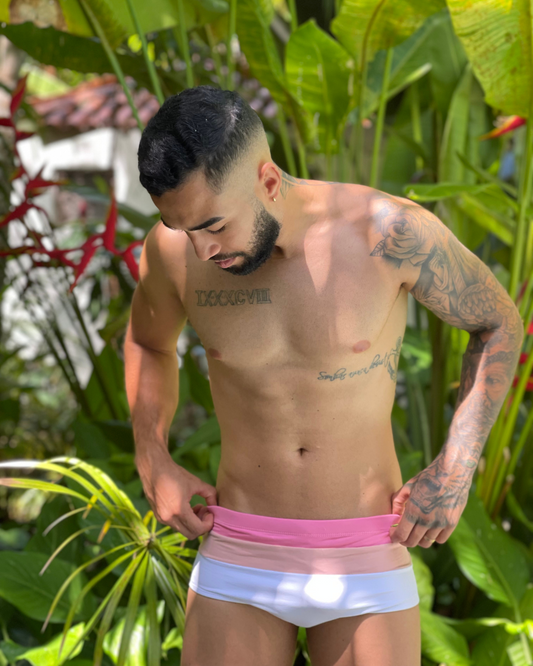 Modelo Tradicional • Flamingo